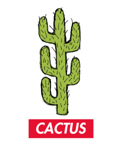 maglietta CACTUS??