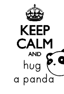 maglietta Hug a panda.