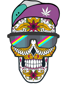 maglietta Modern Mexican Skull