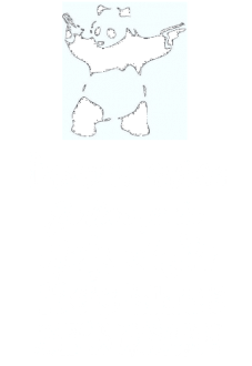 maglietta Destroy Racism