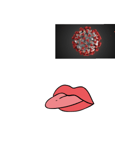 maglietta Coronavirus survivor 2020