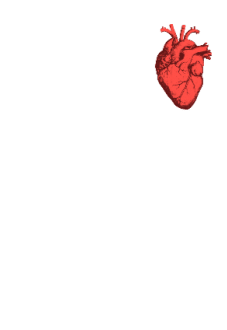 maglietta heart