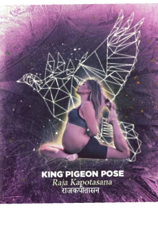 maglietta King Pigeon pose