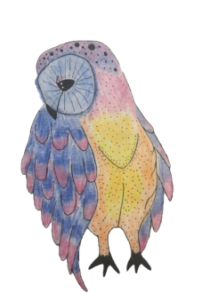 maglietta Owl