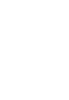 maglietta Campotto Store Corsivo