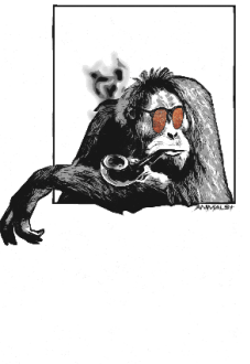 maglietta 