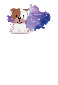 maglietta Collezione dello Zodiaco - CAPRICORNO