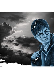 maglietta Harry Potter portrait 