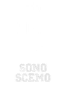 maglietta keep calm and sono scemo