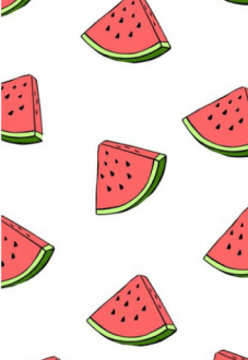 maglietta watermelonphone