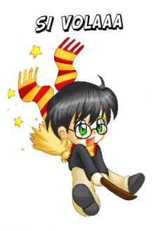 maglietta Harry Potter cover