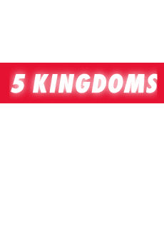maglietta 5 kingdoms 