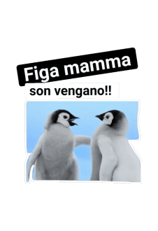maglietta PINGUINO PAZZERELLO!!