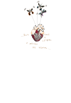 maglietta DREAMING XXI