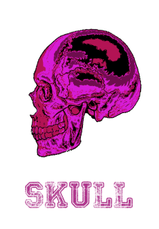 maglietta Skull