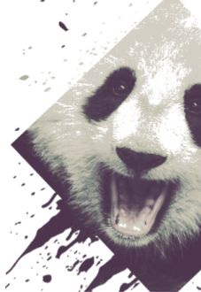 maglietta PANDA