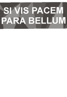 maglietta parabellum