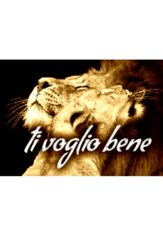 maglietta Ti voglio bene