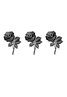 maglietta Roses aeshtetic t-shirt