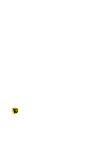 maglietta T-shirt campioni