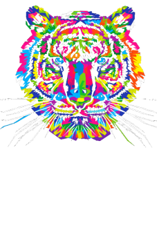 maglietta The colors of the tiger 