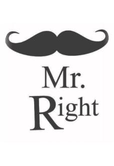 maglietta Mr. Right 