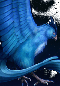 maglietta Articuno