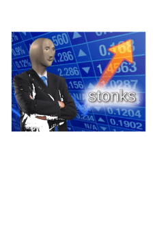 maglietta stonks