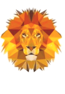 maglietta The lion King