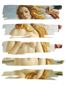 maglietta Botticelli’s