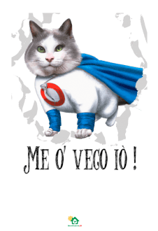maglietta Ggino, il super gattino Napoletano!
