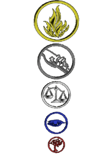 maglietta Factions symbols 