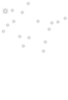 maglietta Gemini constellation