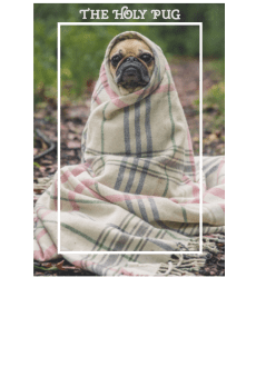 maglietta The holy pug