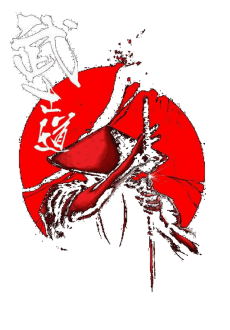 maglietta 