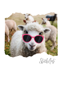 maglietta StickArt - Lamb