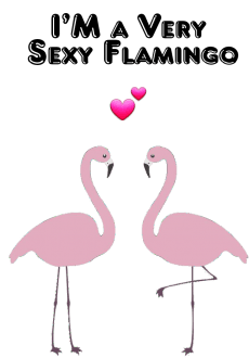 maglietta flamingo t -shirt