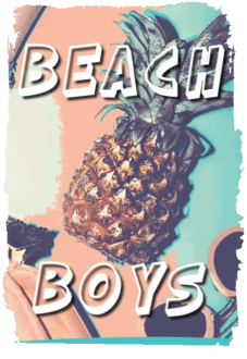 maglietta BEACH BOYS 