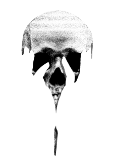 maglietta Skull Terror