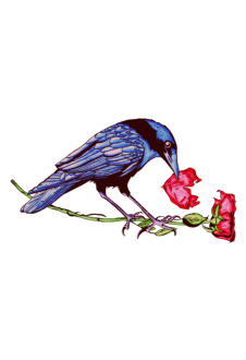 maglietta Crow