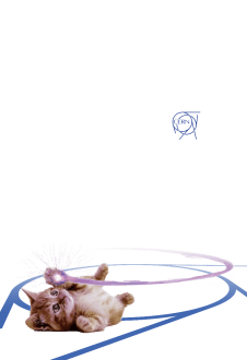 maglietta CERN Cat
