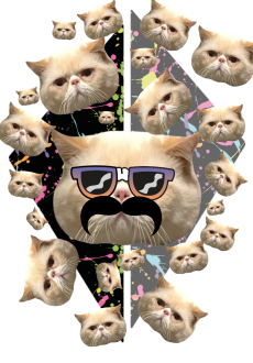 maglietta Hipster Cat