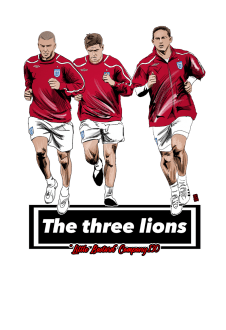 maglietta Lions