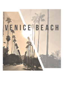 maglietta Venice Beach