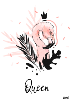 maglietta Flamingos Queen