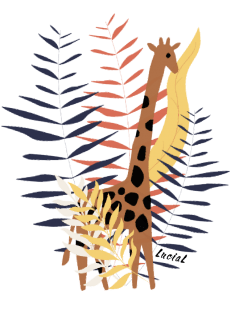 maglietta Giraffa