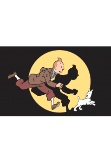 maglietta TINTIN