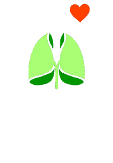 maglietta #ecology