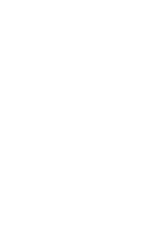 maglietta polpetta 