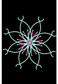 maglietta Mandala